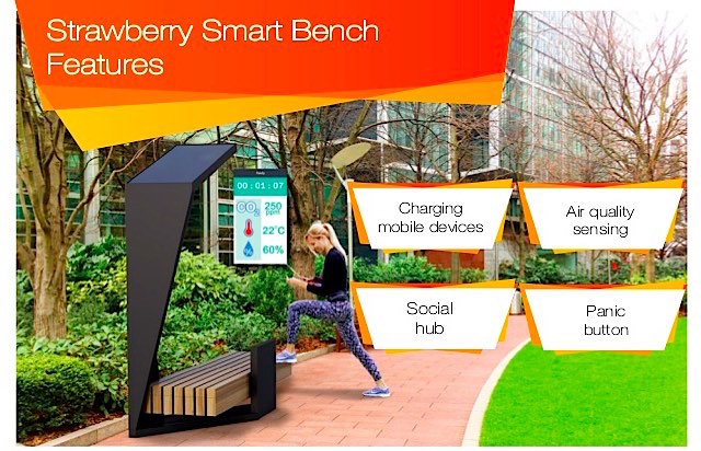 Strawberry Smart Bench