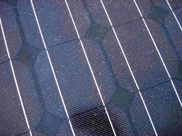 solar-cells-convert-sunlight