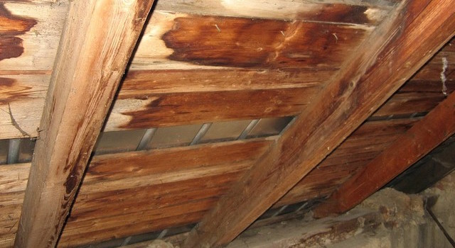 old-wooden-roof-small