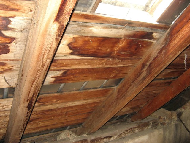 Old wooden roof